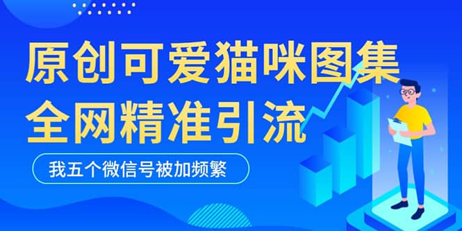 项目-黑科技纯原创可爱猫咪图片，全网精准引流，实操5个VX号被加频繁骑士资源网(1)