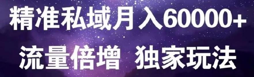 项目-原力网赚精准私域月入60000 ,流量倍增独家玩法骑士资源网(1)