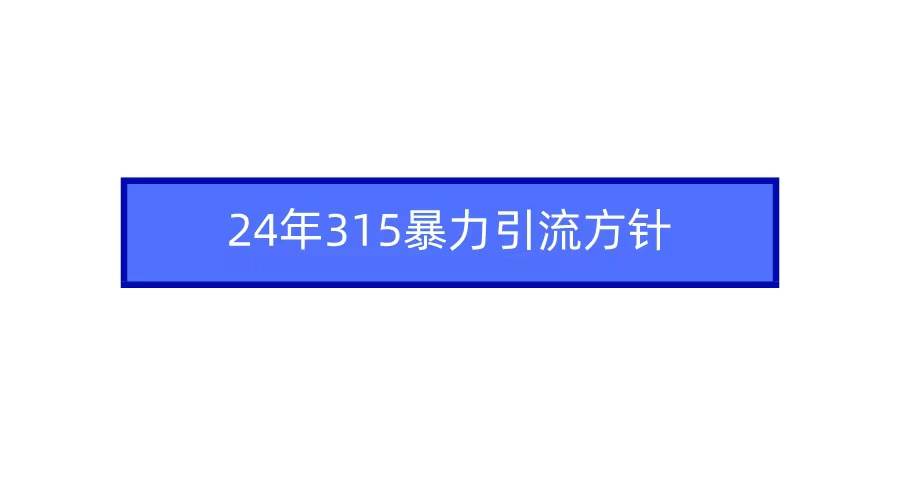 项目-2024年315暴力引流方针骑士资源网(1)