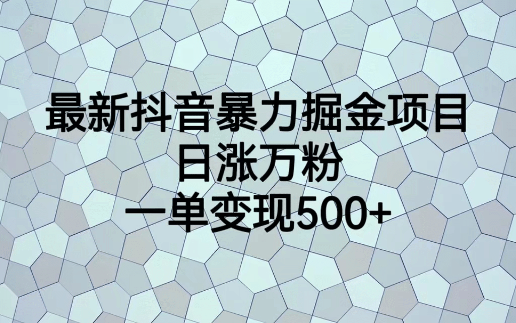 项目-最火热的抖音暴力掘金项目，日涨万粉，多种变现方式，一单变现可达500骑士资源网(1)