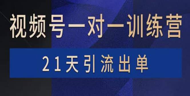 项目-视频号训练营：带货，涨粉，直播，游戏，四大变现新方向，21天引流出单骑士资源网(1)