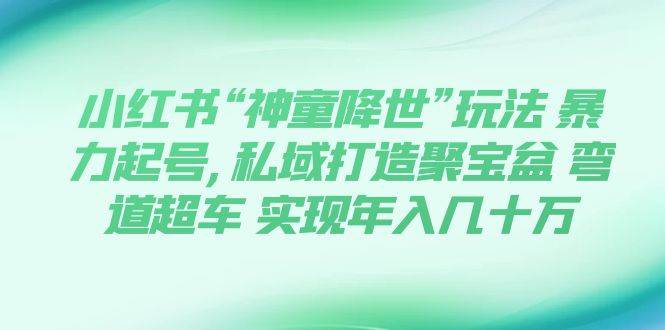 项目-小红书“神童降世”玩法 暴力起号,私域打造聚宝盆 弯道超车 实现年入几十万骑士资源网(1)