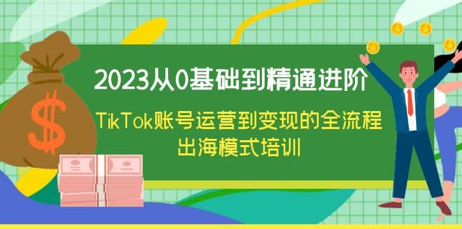 项目-2023从0基础到精通进阶，TikTok账号运营到变现的全流程出海模式培训骑士资源网(1)