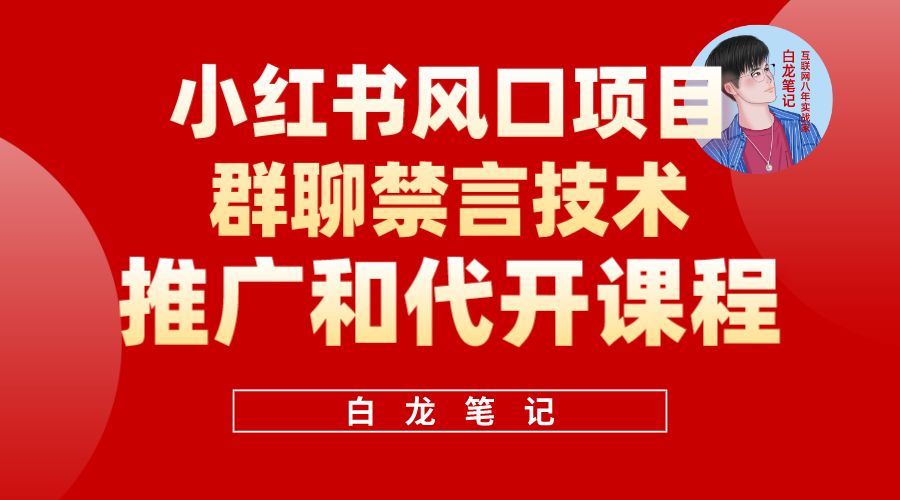 项目-小红书风口项目日入300 ，小红书群聊禁言技术代开项目，适合新手操作骑士资源网(1)