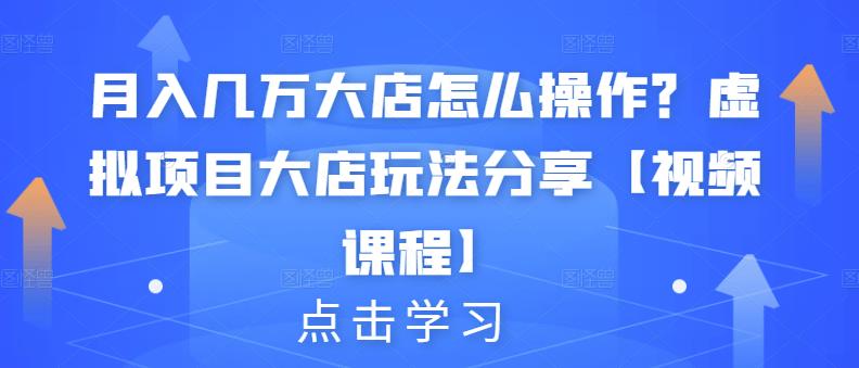 项目-月入几万大店怎么操作？虚拟项目大店玩法分享【视频课程】骑士资源网(1)