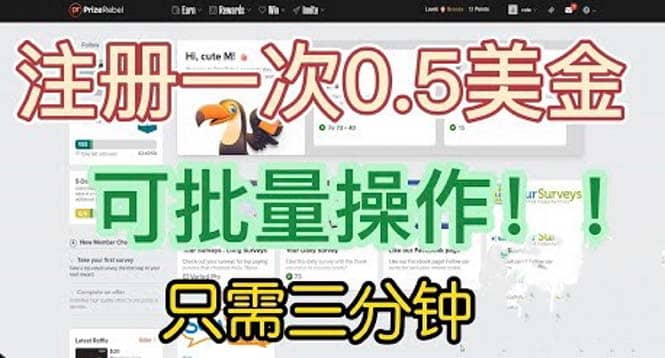 项目-国外项目注册一次0.5美金 只需三分钟无脑操作 可批量放大 小白工作室福利骑士资源网(1)