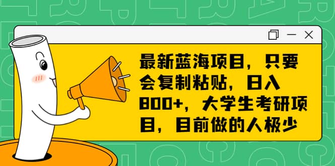 项目-最新蓝海项目，只要会复制粘贴，日入800 ，大学生考研项目，目前做的人极少骑士资源网(1)