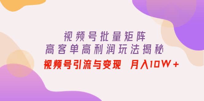 项目-视频号批量矩阵的高客单高利润玩法揭秘骑士资源网(1)