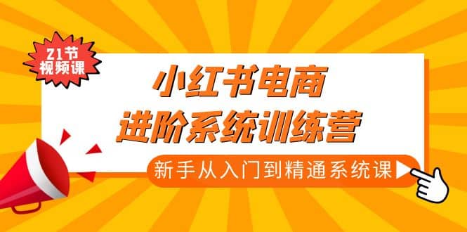 项目-小红书电商进阶系统训练营：新手从入门到精通系统课（21节视频课）骑士资源网(1)