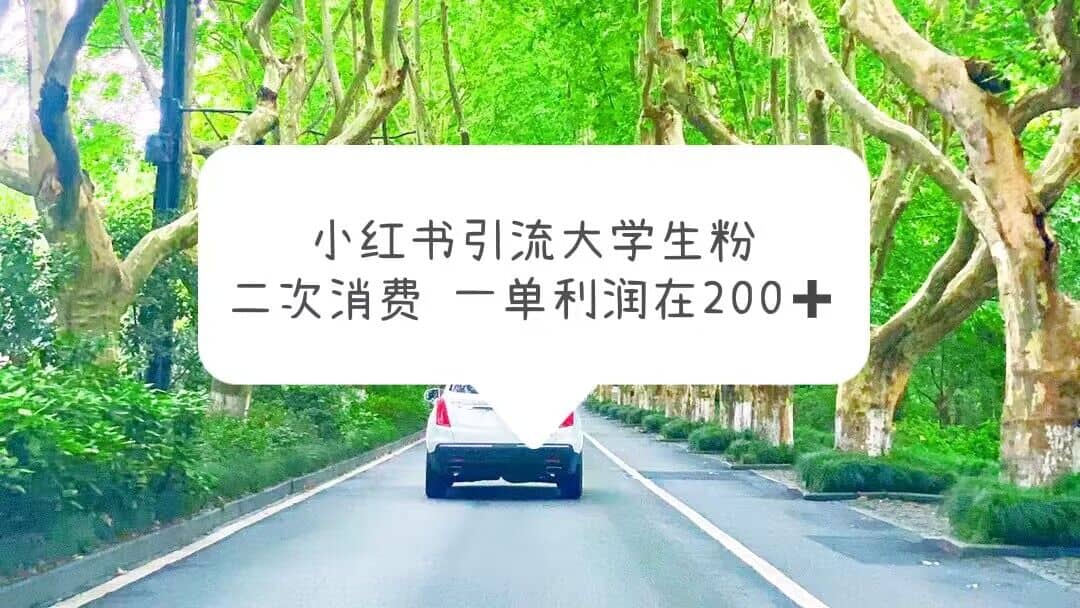 项目-小红书引流大学生粉，变现项目，一单利润在200 （教程 资源）骑士资源网(1)