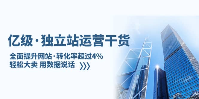 项目-独立站运营干货：全面提升网站·转化率超过4%，轻松大卖 用数据说话骑士资源网(1)