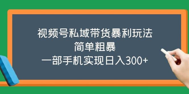 项目-视频号私域带货暴利玩法，简单粗暴骑士资源网(1)