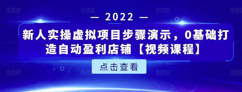 项目-新人实操虚拟项目步骤演示，0基础打造自动盈利店铺【视频课程】骑士资源网(1)