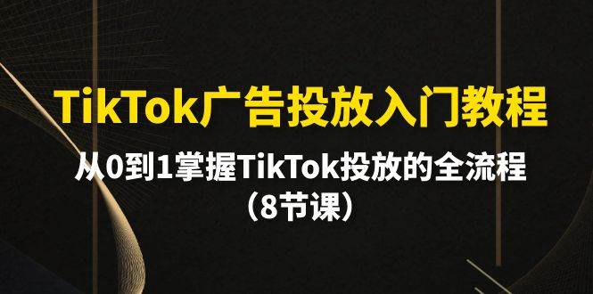 项目-TikTok广告投放入门教程，从0到1掌握TikTok投放的全流程（8节课）骑士资源网(1)