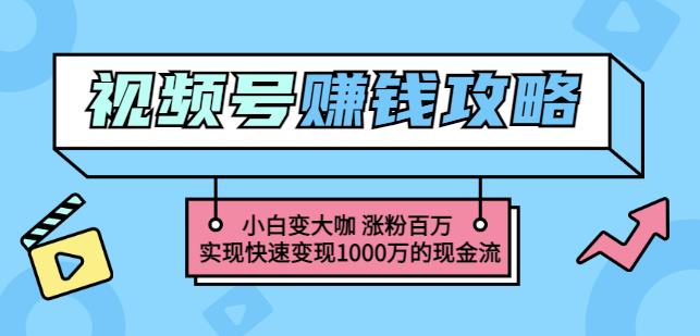 项目-玩转微信视频号赚钱：小白变大咖涨粉百万实现快速变现1000万的现金流骑士资源网(1)