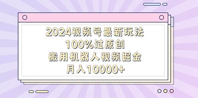 项目-2024视频号最新玩法，100%过原创，搬用机器人视频掘金，月入10000+骑士资源网(1)