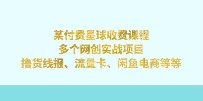 项目-某付费星球课程：多个网创实战项目，撸货线报、流量卡、闲鱼电商等等骑士资源网(1)