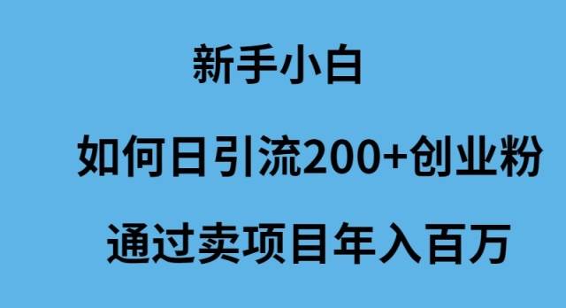 项目-新手小白如何日引流200+创业粉通过卖项目年入百万骑士资源网(1)