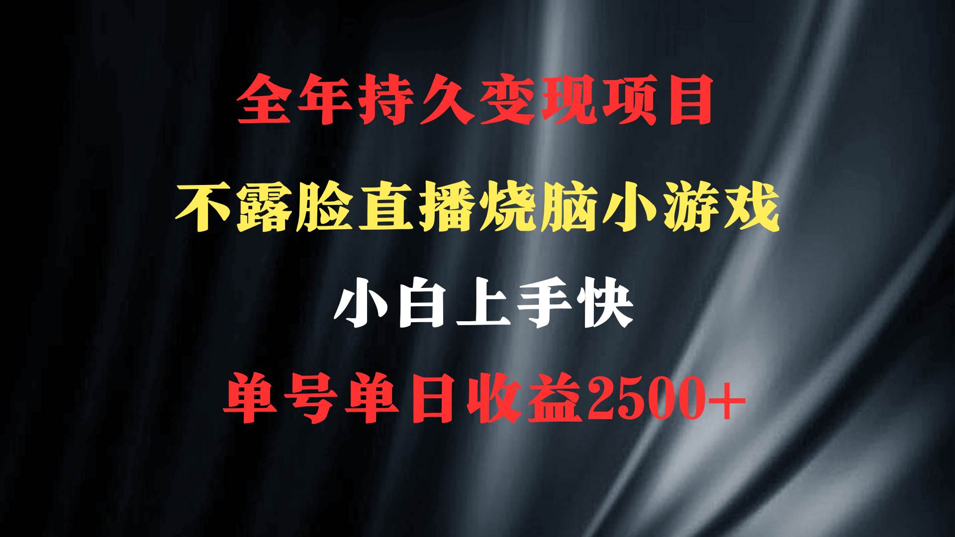 项目-2024年 最优项目，烧脑小游戏不露脸直播  小白上手快 无门槛 一天收益2500+骑士资源网(1)