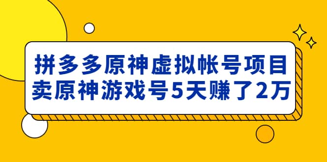 项目-外面卖2980的拼多多原神虚拟帐号项目骑士资源网(1)