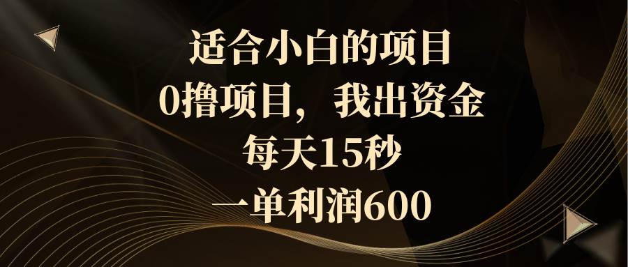 适合小白的项目，0撸项目，我出资金，每天15秒，一单利润600