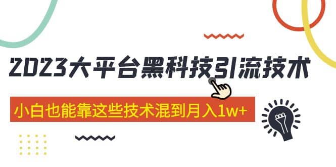 项目-价值4899的2023大平台黑科技引流技术 29节课骑士资源网(1)