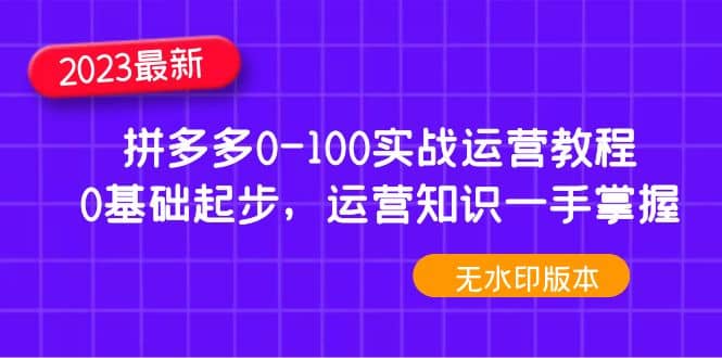 项目-2023拼多多0-100实战运营教程，0基础起步，运营知识一手掌握（无水印）骑士资源网(1)