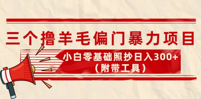 项目-外面卖998的三个撸羊毛项目，小白零基础照抄（附带工具）骑士资源网(1)