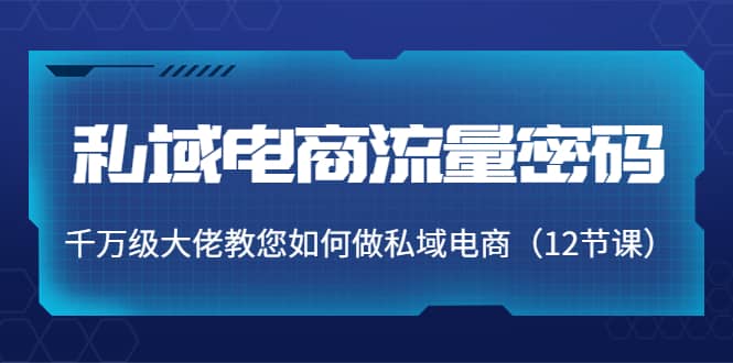 项目-私域电商流量密码：千万级大佬教您如何做私域电商（12节课）骑士资源网(1)