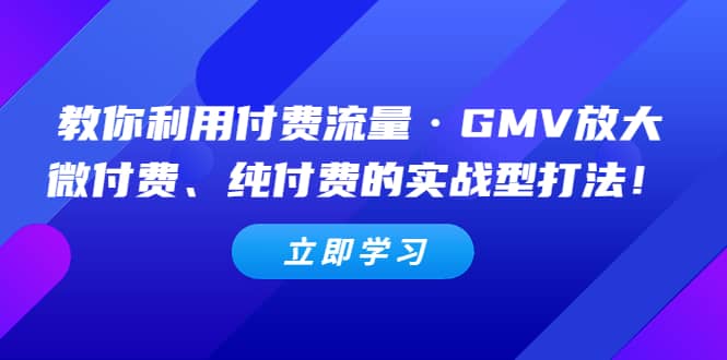 项目-教你利用付费流量·GMV放大，微付费、纯付费的实战型打法骑士资源网(1)