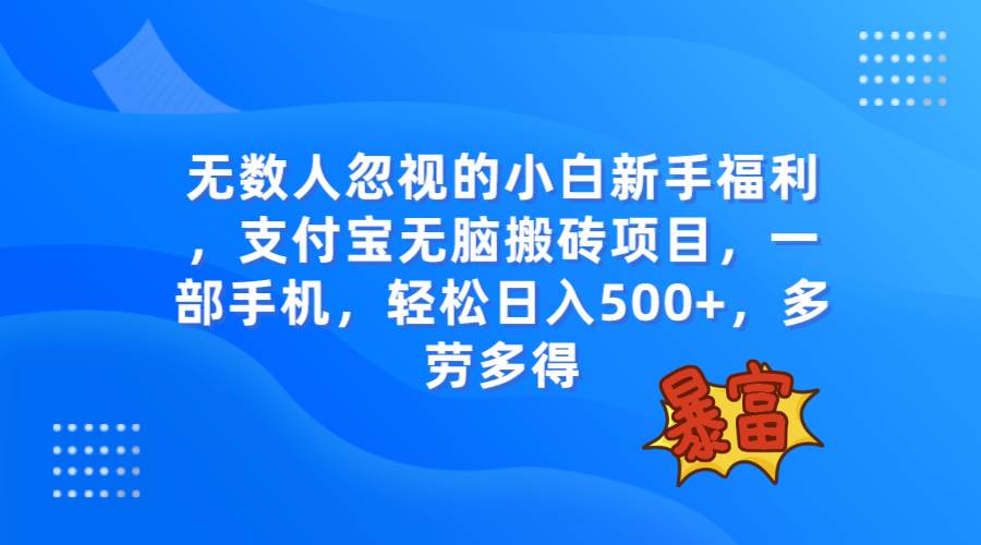 项目-无数人忽视的项目，支付宝无脑搬砖项目，一部手机即可操作，轻松日入500骑士资源网(1)