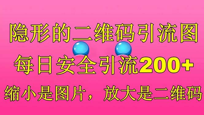 项目-隐形的二维码引流图，缩小是图片，放大是二维码，每日安全引流200骑士资源网(1)