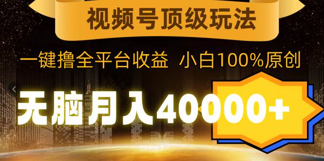 项目-视频号顶级玩法，无脑月入40000+，一键撸全平台收益，纯小白也能100%原创骑士资源网(1)