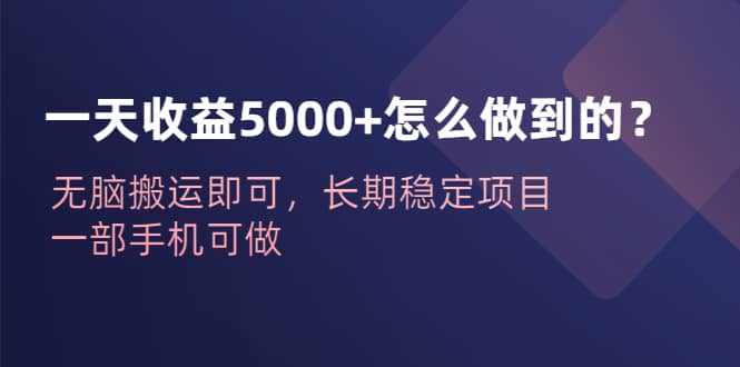 项目-一天收益5000 怎么做到的？无脑搬运即可，长期稳定项目，一部手机可做骑士资源网(1)