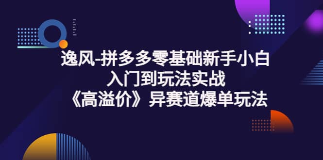 项目-拼多多零基础新手小白入门到玩法实战《高溢价》异赛道爆单玩法实操课骑士资源网(1)