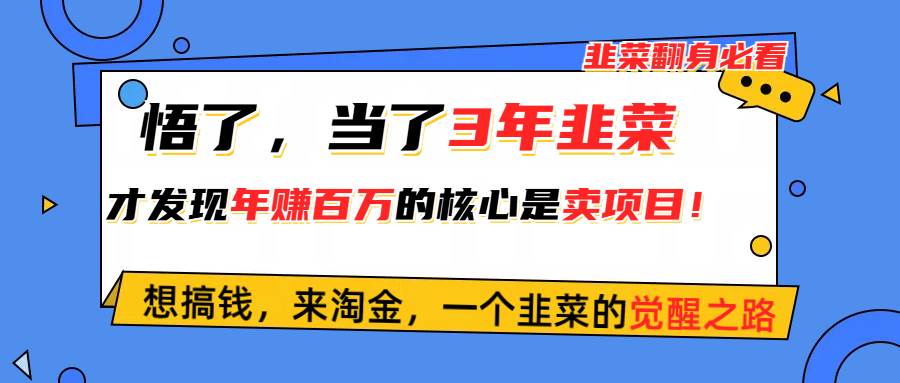 项目-悟了，当了3年韭菜，才发现网赚圈年赚100万的核心是卖项目，含泪分享！骑士资源网(1)