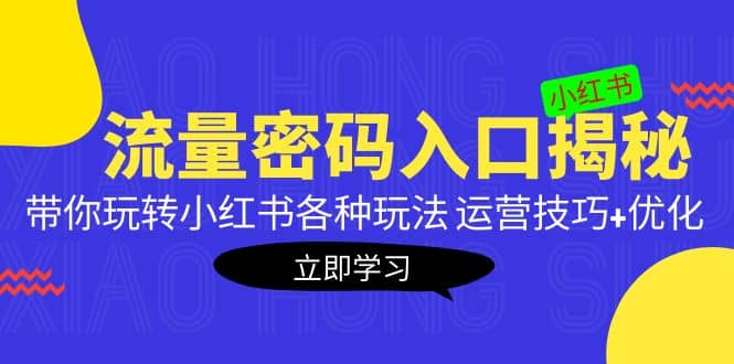 项目-小红书流量密码入口揭秘：带你玩转小红书各种玩法 运营技巧 优化骑士资源网(1)