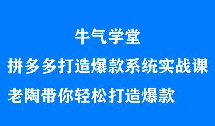 项目-牛气学堂拼多多打造爆款系统实战课，老陶带你轻松打造爆款骑士资源网(1)