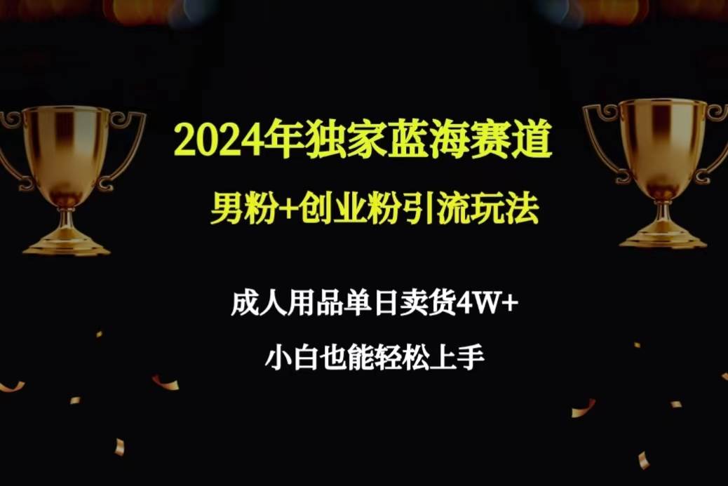 项目-2024年独家蓝海赛道男粉+创业粉引流玩法，成人用品单日卖货4W+保姆教程骑士资源网(1)