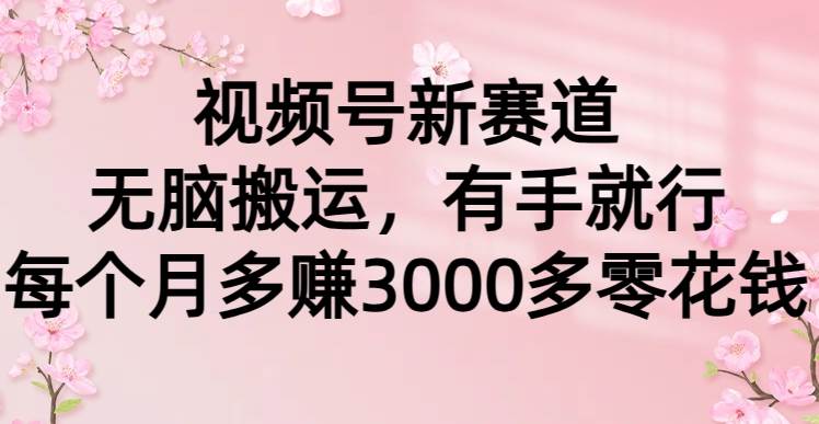 项目-视频号新赛道，无脑搬运，有手就行，每个月多赚3000多零花钱骑士资源网(1)