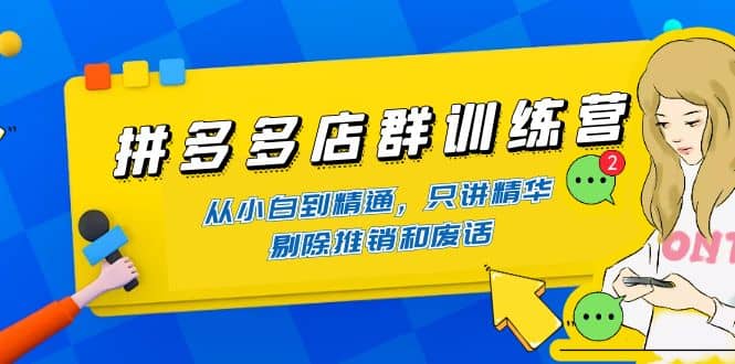 项目-拼多多店群训练营：从小白到精通，只讲精华，剔除推销和废话骑士资源网(1)