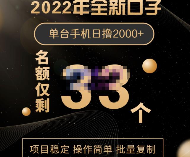 项目-2022年全新口子，手机批量搬砖玩法，一部手机日撸2000骑士资源网(1)