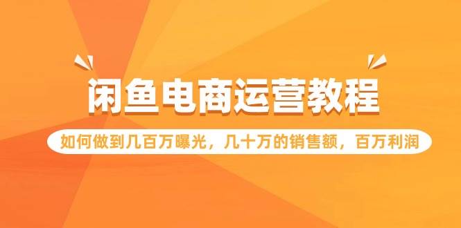 项目-闲鱼电商运营教程：如何做到几百万曝光，几十万的销售额，百万利润骑士资源网(1)