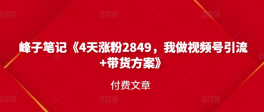 项目-峰子笔记《4天涨粉2849，我做视频号引流 带货方案》付费文章骑士资源网(1)