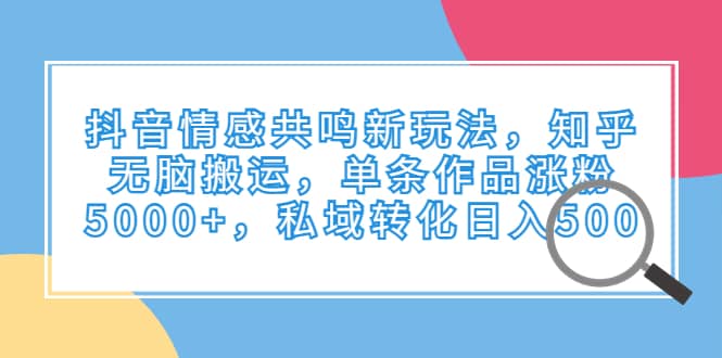 项目-抖音情感共鸣新玩法，知乎无脑搬运，单条作品涨粉5000 ，私域转化日入500骑士资源网(1)