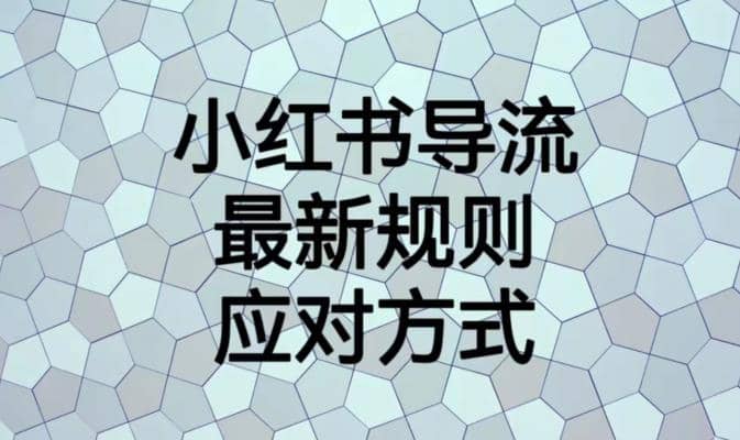 项目-小红书导流最新规则应对方式【揭秘】骑士资源网(1)