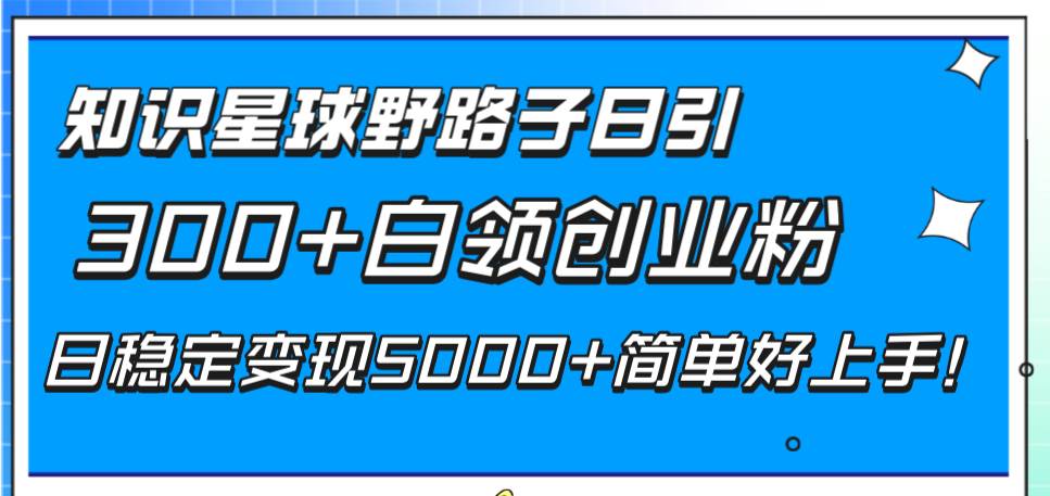 知识星球野路子日引300 白领创业粉，日稳定变现5000 简单好上手！