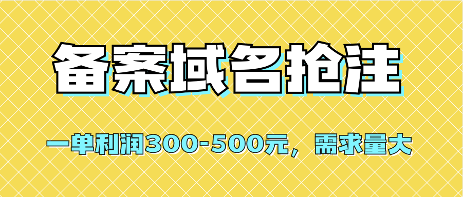 项目-【全网首发】备案域名抢注，一单利润300-500元，需求量大骑士资源网(1)