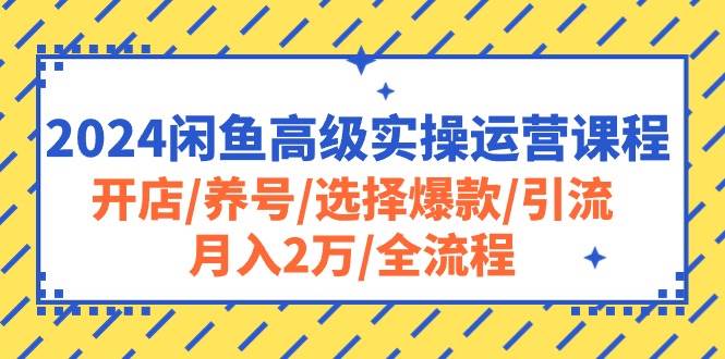 项目-2024闲鱼高级实操运营课程：开店/养号/选择爆款/引流/月入2万/全流程骑士资源网(1)