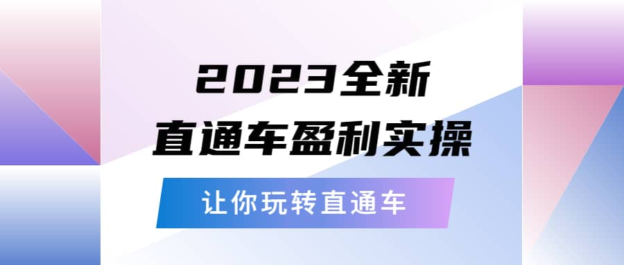 项目-2023全新直通车·盈利实操：从底层，策略到搭建，让你玩转直通车骑士资源网(1)